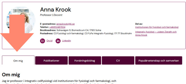 Example how the about me tab looks like on the profile page
