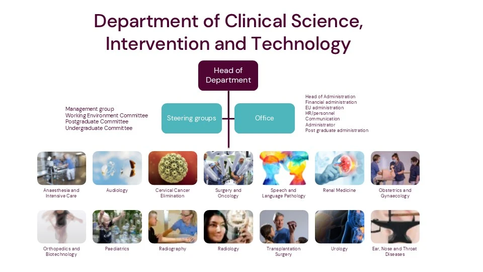 CLINTEC Organisation
