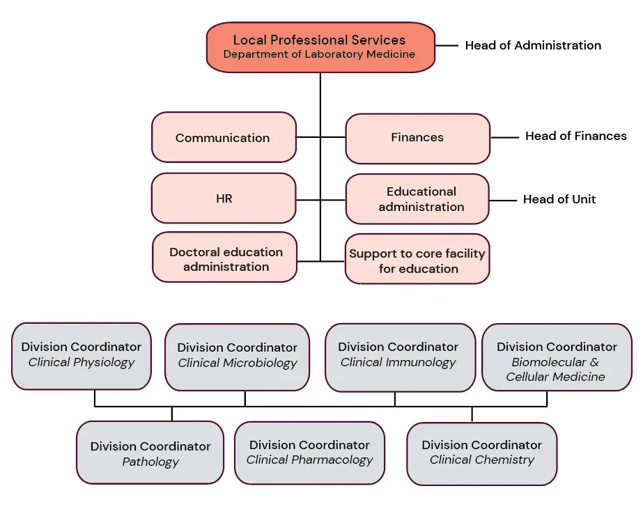 Organisation chart showing the Local Professional Services at the Department of Laboratory Medicine.