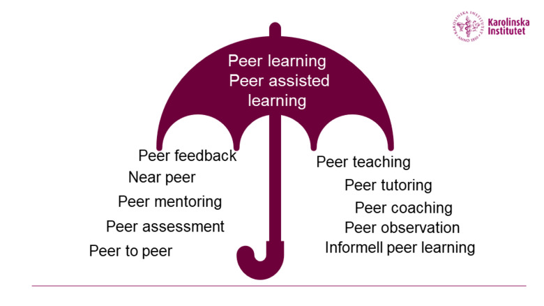 Peer learning and peer assisted learning as over arching concepts