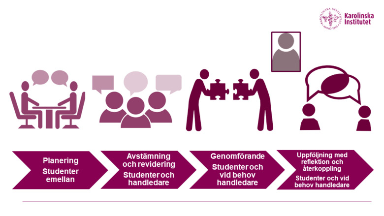 Example of a peer learning process where peers learn from and with each other with support from a supervisor.