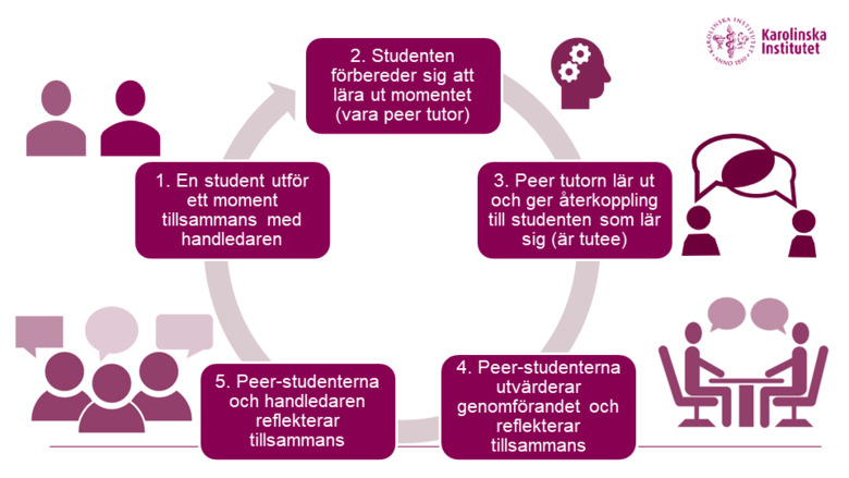 An example of peer tutoring or peer teachning.