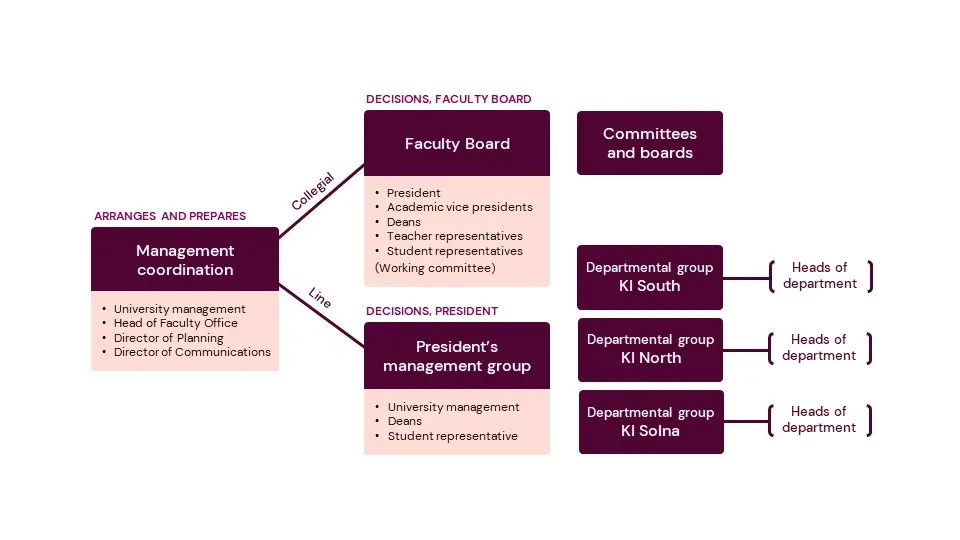 Overview of workflow within the management organisation
