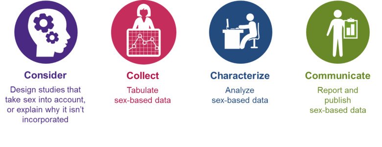 Infographic showing the 4Cs in integrating sex as a variable in biomedical research: Consider, collect, characterize, and communicate sex-disaggregated data