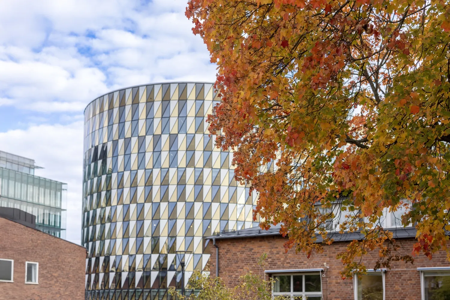Autumn at Campus Solna Autumn at Campus Solna