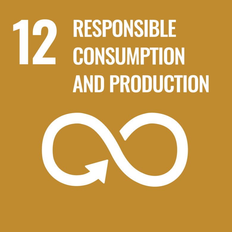 Global goal 12: Sustainable consumption and production