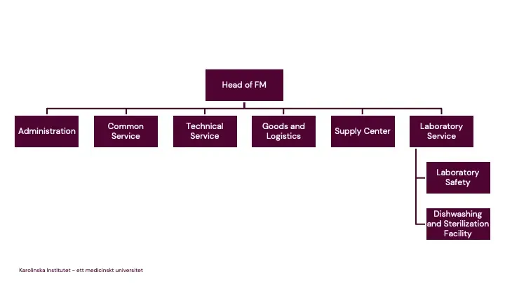 Organization of FM Biomedicum