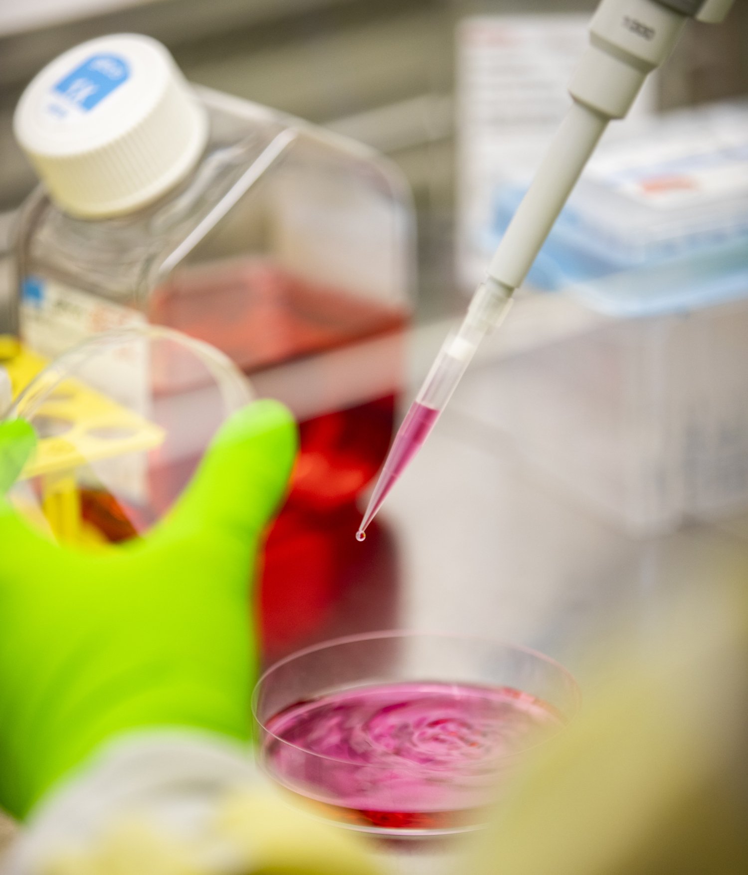 Hands working with pipette and liquid.