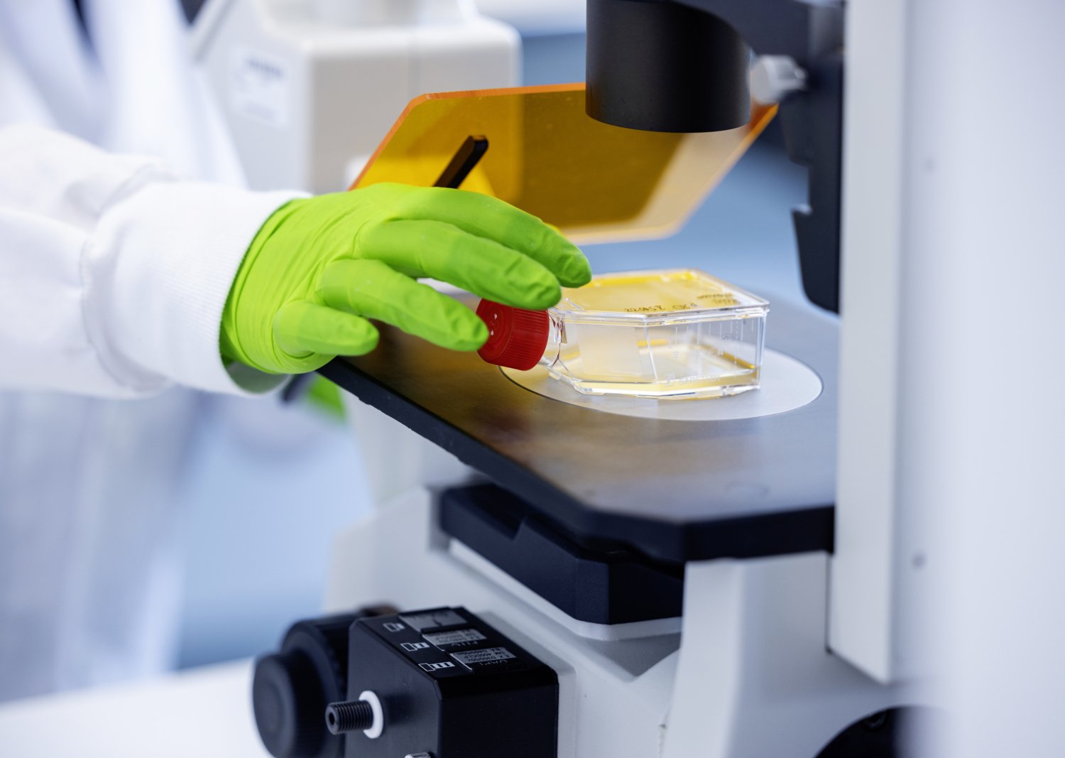 Detail image from lab