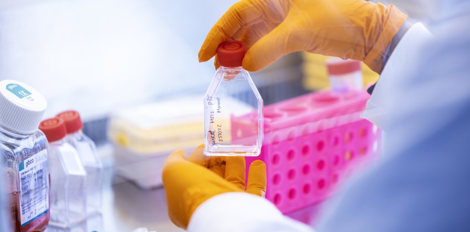 Detail image from lab
