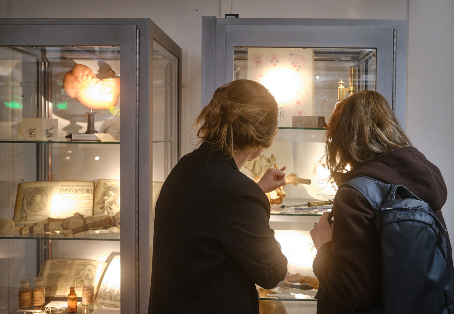 Exhibition Fragility of Life, KIB Solna