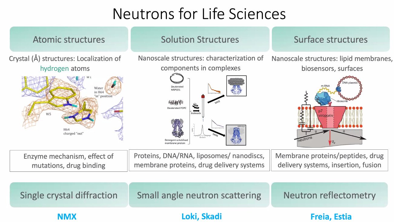 Neutrons for life science