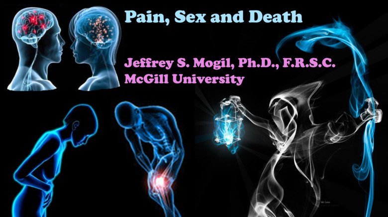 Pain, sex and death