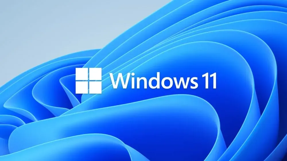 Windows 11 logo.