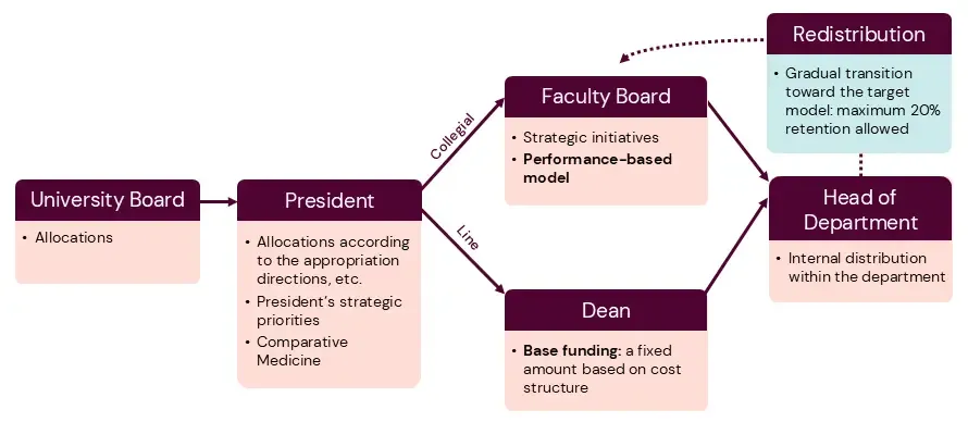 Graphic showing the overall decision-making process for the allocation of grants: from the University Board via the President and Faculty Board (collegiate) and Dean (line) to Head of Department.