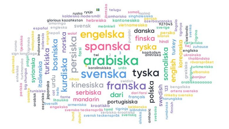 Wordcloud of languges spoken by domestic students