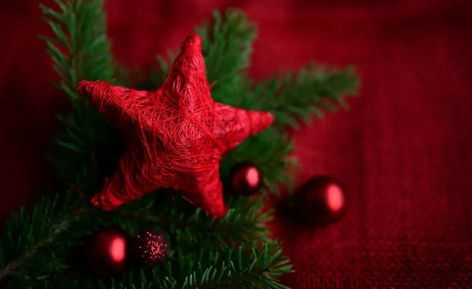 A red christmas star.