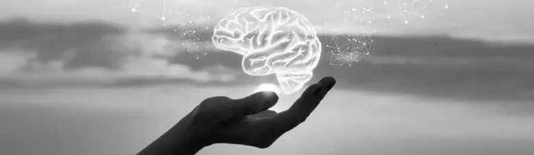 Illustration of hand holding a human brain.