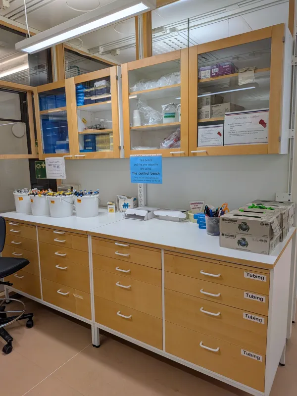 MBB course lab