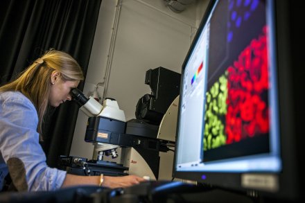 Cellprofiling SciLifeLab