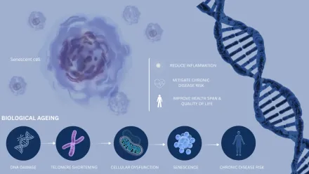 Biological Ageing