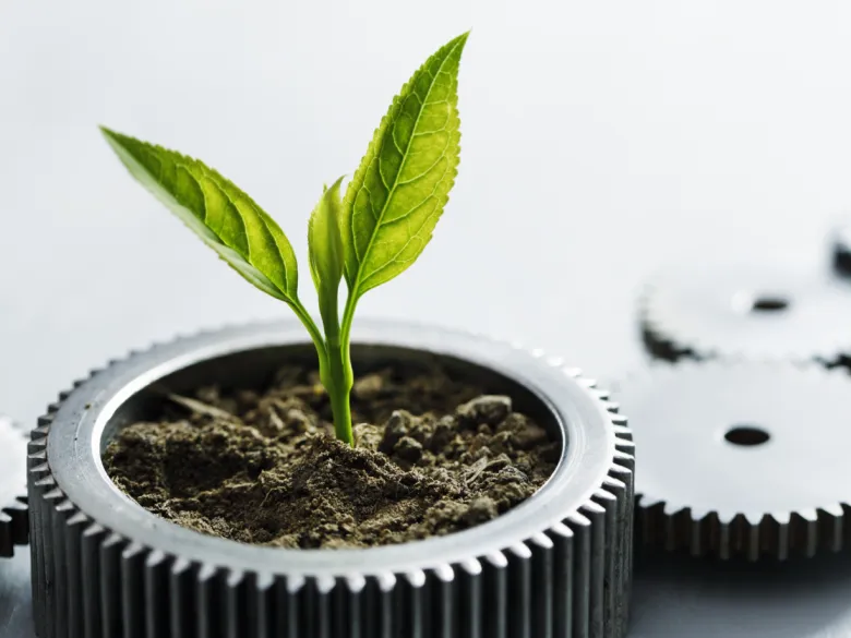 Metal gears with little plant on white background.