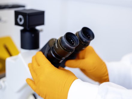 Detail image from lab