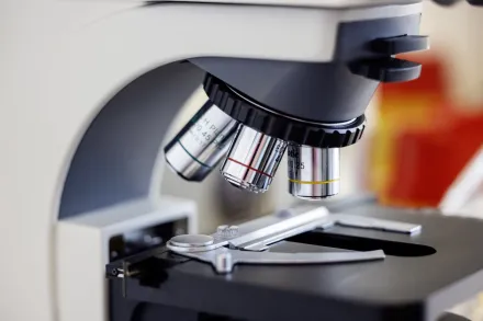 Detail image from lab