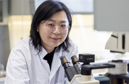 Detail image from lab