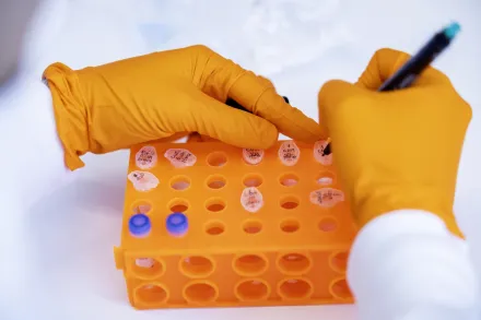 Detail image from lab