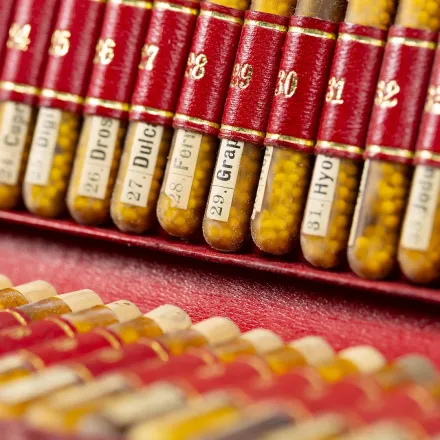 medical history artefacts that look like pills