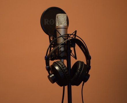 Headphones and a microphone.